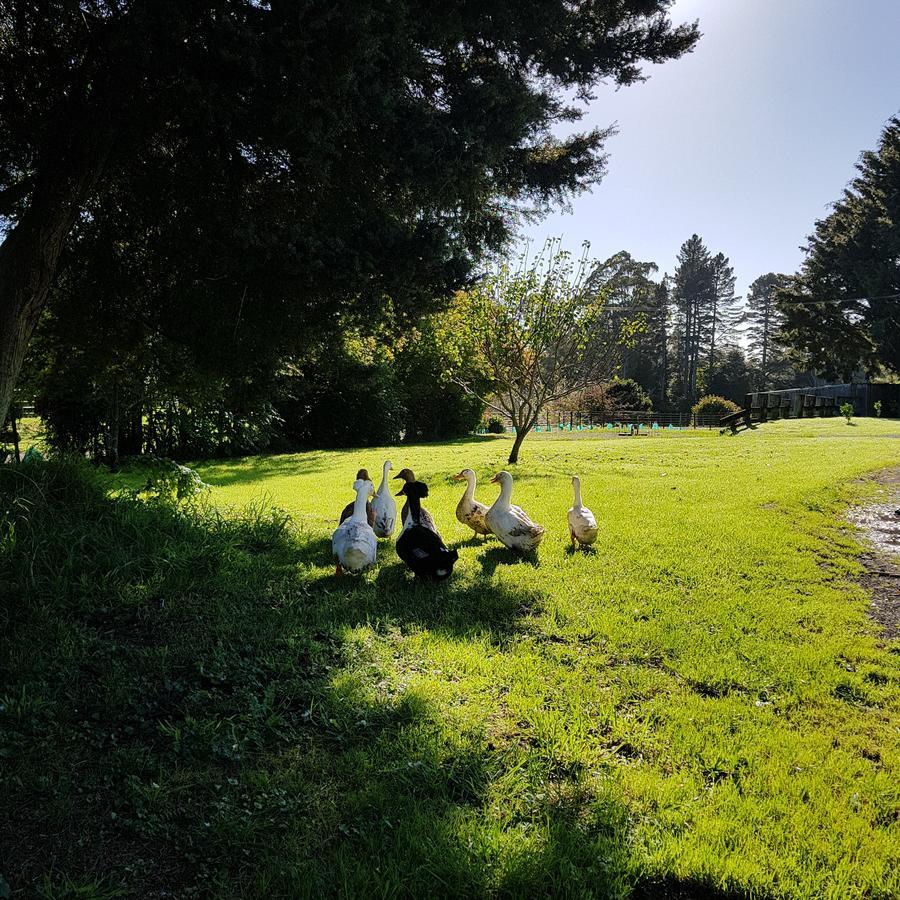 Poripori Homestead タウランガ エクステリア 写真